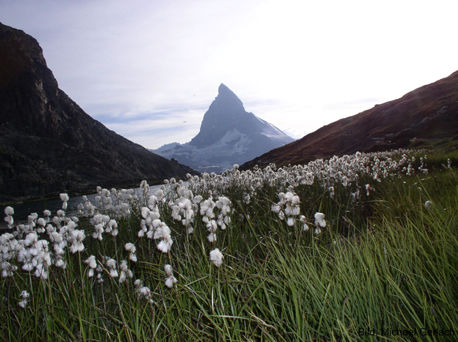 Hotel Riffelhaus 1853 Zermatt